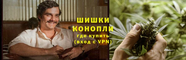 амф Богородск