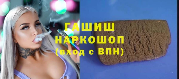 a pvp Бородино