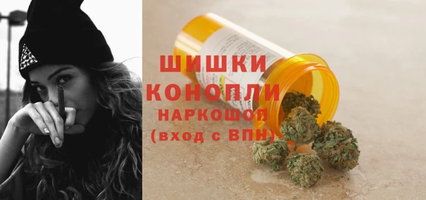 тгк Бронницы
