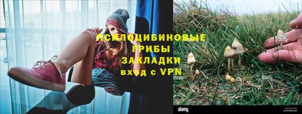 спиды Богородицк
