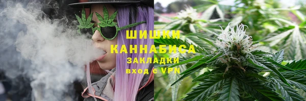 амф Богородск