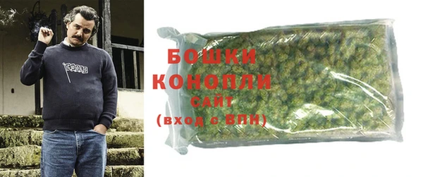 a pvp Бородино