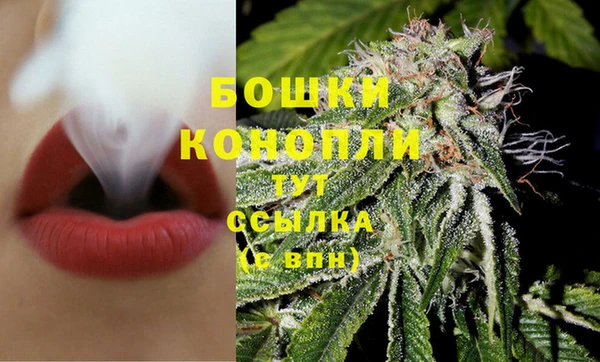амф Богородск